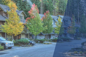 Original Whistler leasehold property article image